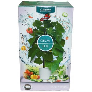 Canna - Kit Canna Grow TERRA Box Peper Zaden