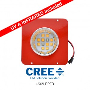 Phytolite- Phytoled Cob Cree XTE 30 Watt- Linea NX