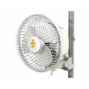 Monkey Fan 16 Watt- Secret Jardin