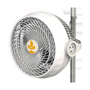 Monkey Fan 30 Watt- Secret Jardin